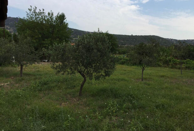 Taşhan Butik Hotel Sivrice - Görsel 47