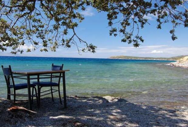 Taşhan Butik Hotel Sivrice - Görsel 43