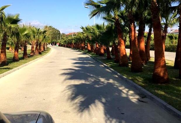 Lila Motel Assos - Görsel 5