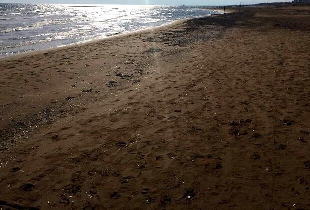 Lila Motel Assos - Görsel 8