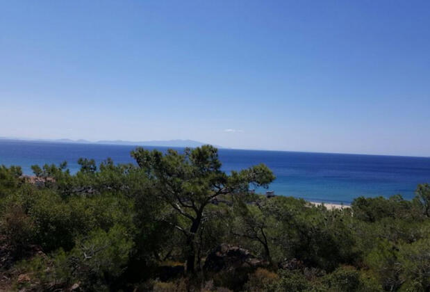 Park Orman Apart Otel - Görsel 20