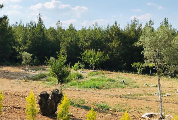 Başka Bir Yer Butik Otel - Görsel 23