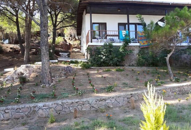 Park Orman Apart Otel - Görsel 10