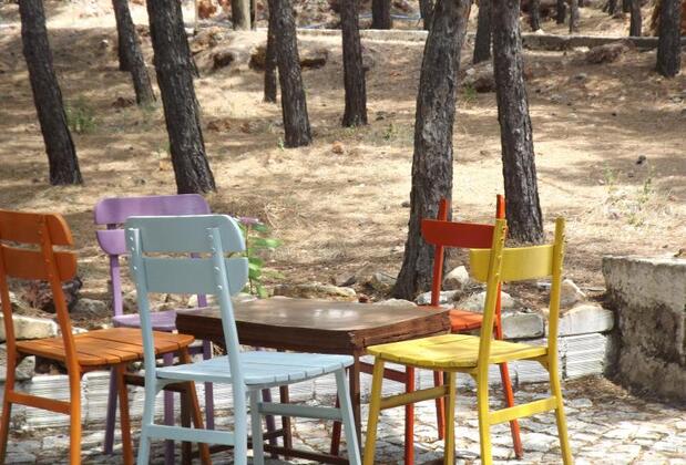 Park Orman Apart Otel - Görsel 6