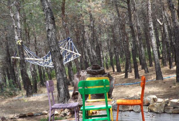 Park Orman Apart Otel - Görsel 22