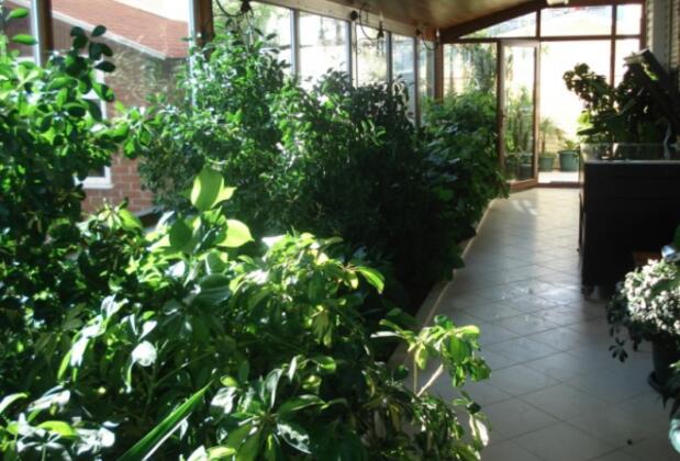 As Motel & Restaurant - Görsel 14