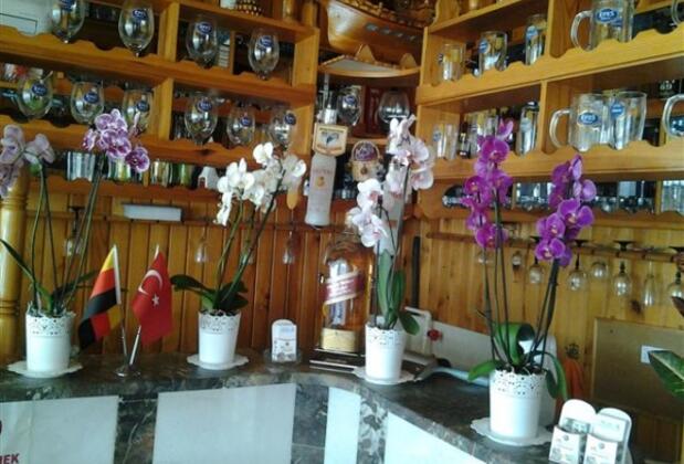 Timur Apart Pansiyon - Görsel 4