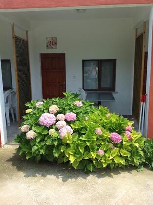 Kalemi Pansiyon - Görsel 21