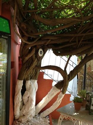 Kalemi Pansiyon - Görsel 15