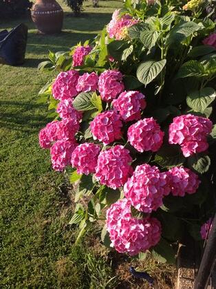 Kalemi Pansiyon - Görsel 16