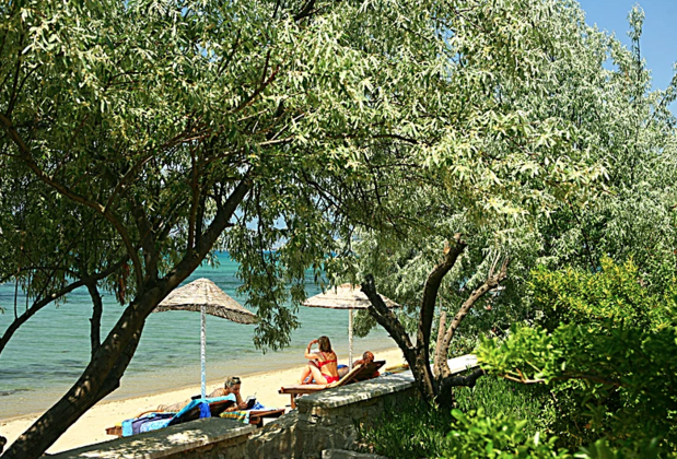 Club Orient - Görsel 33