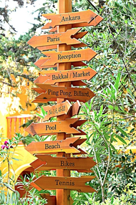 Club Orient - Görsel 17