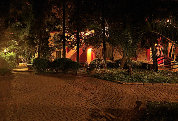 Club Orient - Görsel 20