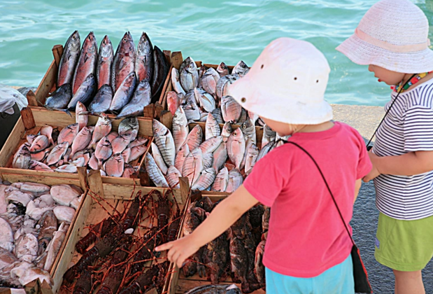 Club Orient - Görsel 27