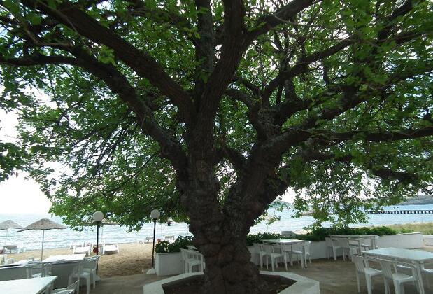 Mini Motel - Görsel 6