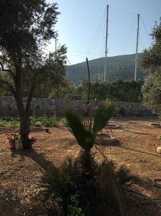 Ma'kara Bungalow - Görsel 14