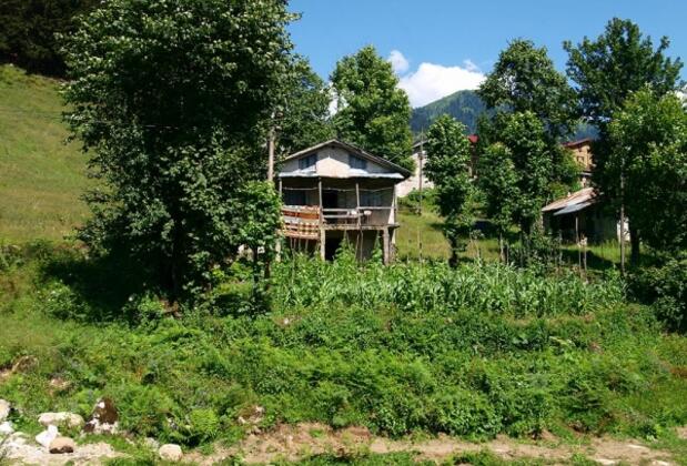 Ayder Petek Otel - Görsel 27