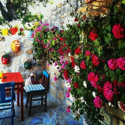 Tepe Ev Pansiyon - Görsel 3