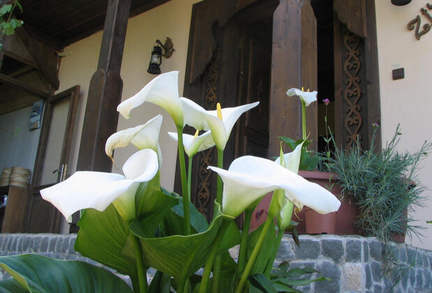 Zümrüd-ü Anka Hotel - Görsel 27