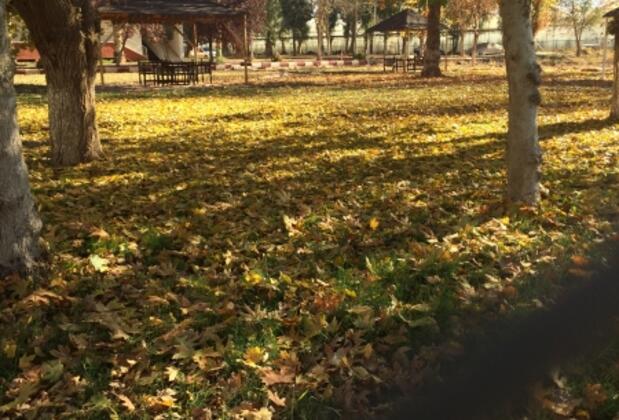 Karaali Kaplıcaları - Görsel 23