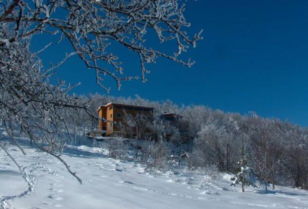 Aytepe Parpalia Konaklama & Restaurant - Görsel 6