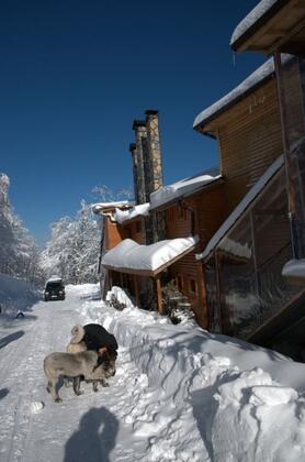 Aytepe Parpalia Konaklama & Restaurant - Görsel 5