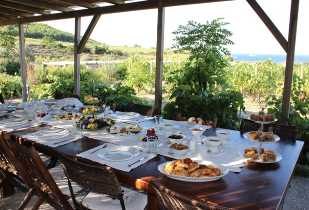 Talay Bağları Konukevi - Görsel 10