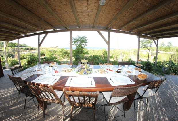 Talay Bağları Konukevi - Görsel 8