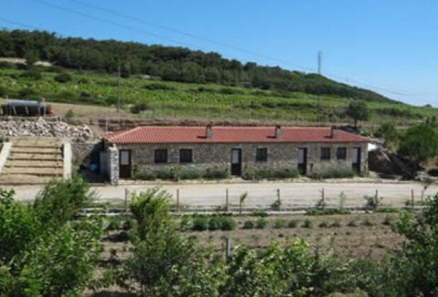 Talay Bağları Konukevi - Görsel 6