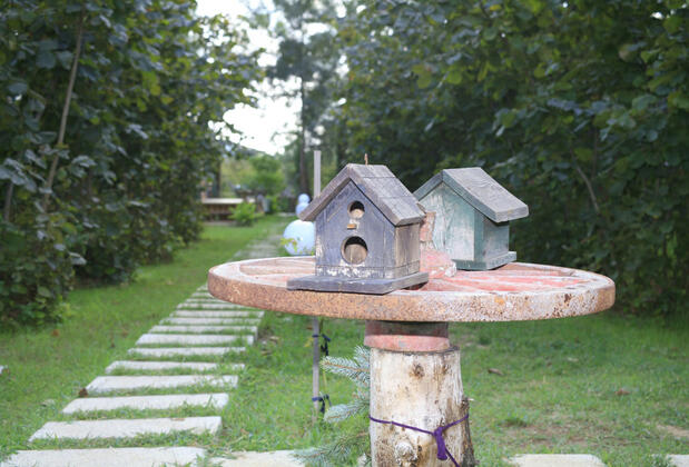 Antique River House - Görsel 9