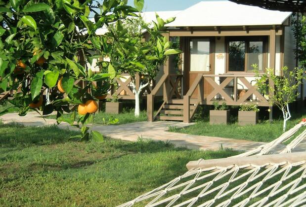 Sedir Resort - Görsel 22