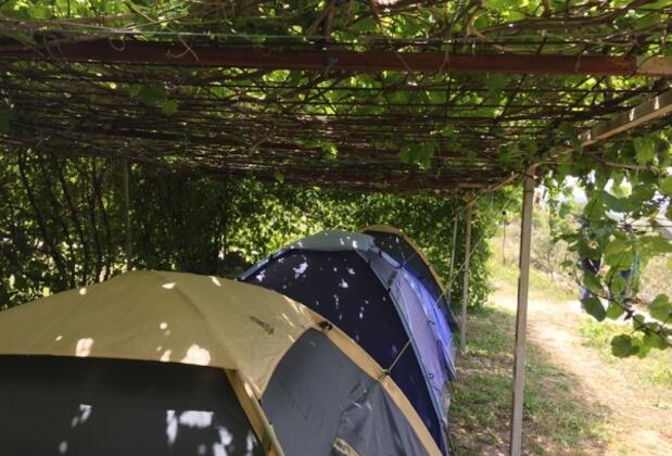 Bozcaada Camping - Görsel 8