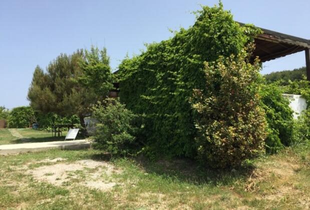 Bozcaada Camping - Görsel 20