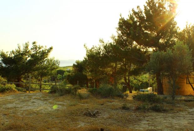 Bozcaada Camping - Görsel 9