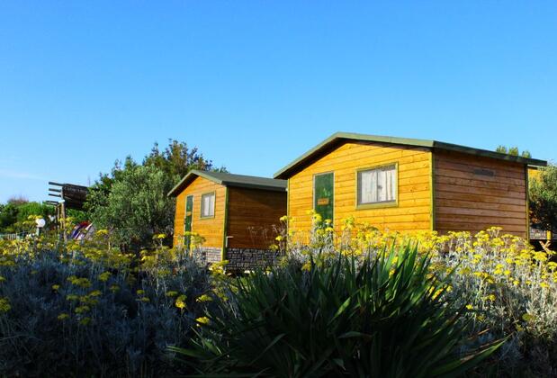 Bozcaada Camping - Görsel 6