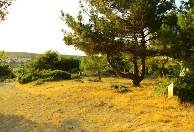 Bozcaada Camping - Görsel 22