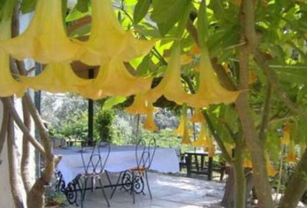 Taş Ev Gümüşlük Cafe Restaurant - Görsel 3