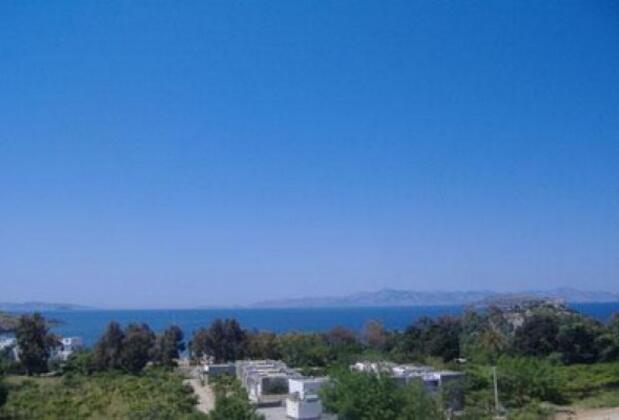 Taş Ev Gümüşlük Cafe Restaurant - Görsel 8