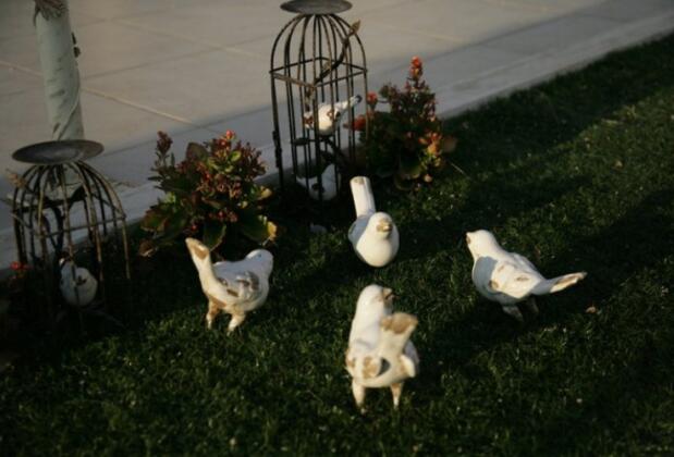 Sevgi Çimen Butik Otel - Görsel 21