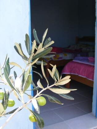 Assos Ehli Beyt Pansiyon & Apart - Görsel 12