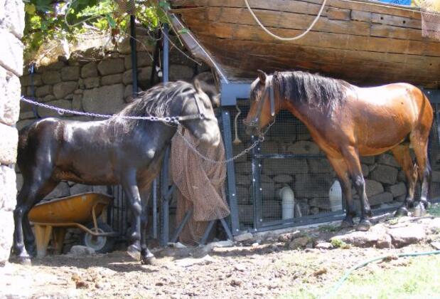 Assos Ehli Beyt Pansiyon & Apart - Görsel 10