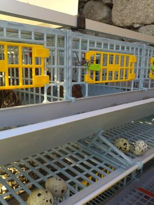 Assos Ehli Beyt Pansiyon & Apart - Görsel 3