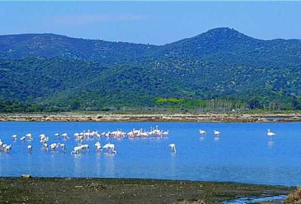 Lagina Hotel - Görsel 22