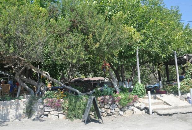 Deniz Cafe & Pansiyon - Görsel 47