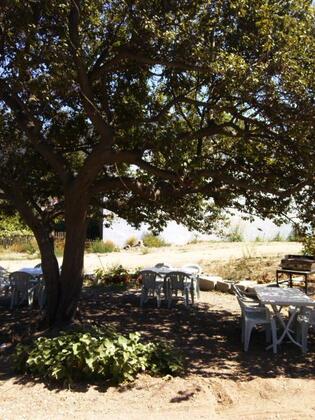 Yıldız Apart Pansiyon - Görsel 7