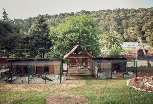 Yörükali Tesisleri - Görsel 7