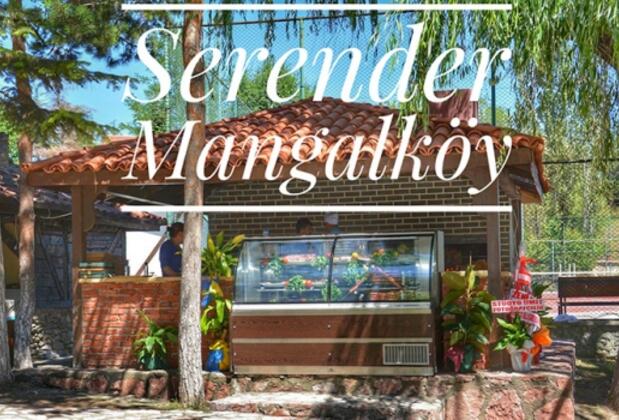 Serender Park Otel - Görsel 24