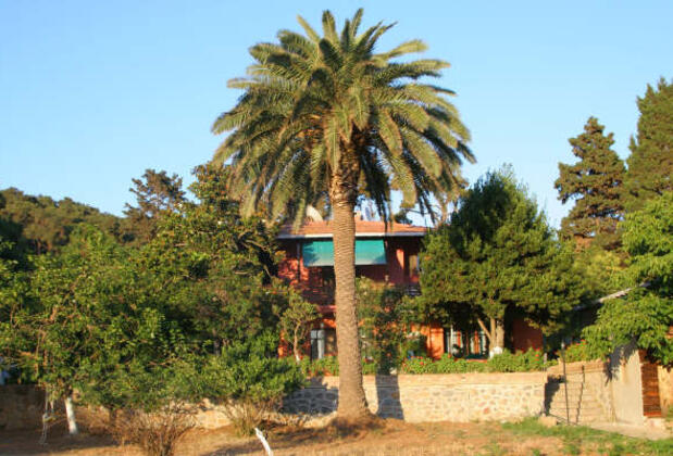 Ada Pansiyon Büyükada - Görsel 6