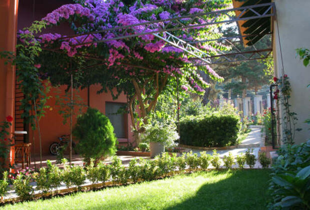 Ada Pansiyon Büyükada - Görsel 4