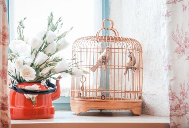 Bird Cage - Görsel 6